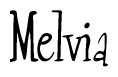 The image is a stylized text or script that reads 'Melvia' in a cursive or calligraphic font.