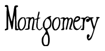 The image is of the word Montgomery stylized in a cursive script.