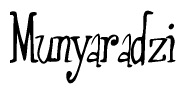 The image contains the word 'Munyaradzi' written in a cursive, stylized font.