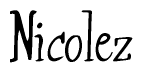 The image contains the word 'Nicolez' written in a cursive, stylized font.