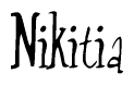 The image is of the word Nikitia stylized in a cursive script.
