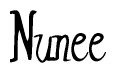 The image is of the word Nunee stylized in a cursive script.