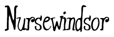 The image is a stylized text or script that reads 'Nursewindsor' in a cursive or calligraphic font.