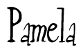 The image contains the word 'Pamela' written in a cursive, stylized font.