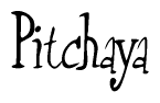 The image is a stylized text or script that reads 'Pitchaya' in a cursive or calligraphic font.