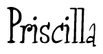 The image is a stylized text or script that reads 'Priscilla' in a cursive or calligraphic font.