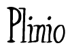 The image is a stylized text or script that reads 'Plinio' in a cursive or calligraphic font.