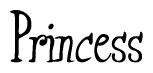 The image is a stylized text or script that reads 'Princess' in a cursive or calligraphic font.