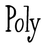 The image contains the word 'Poly' written in a cursive, stylized font.