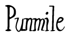 The image contains the word 'Punmile' written in a cursive, stylized font.