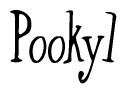 The image is a stylized text or script that reads 'Pooky1' in a cursive or calligraphic font.