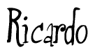 The image contains the word 'Ricardo' written in a cursive, stylized font.
