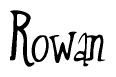The image contains the word 'Rowan' written in a cursive, stylized font.