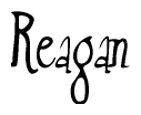 The image contains the word 'Reagan' written in a cursive, stylized font.