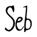The image is of the word Seb stylized in a cursive script.
