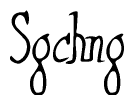   The image is of the word Sgchng stylized in a cursive script. 
