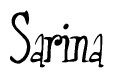 The image is of the word Sarina stylized in a cursive script.