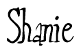 The image contains the word 'Shanie' written in a cursive, stylized font.