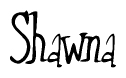 The image is of the word Shawna stylized in a cursive script.