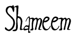 The image contains the word 'Shameem' written in a cursive, stylized font.