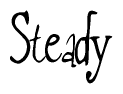 Steady Calligraphy Text 