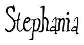 The image is a stylized text or script that reads 'Stephania' in a cursive or calligraphic font.