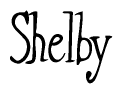 The image contains the word 'Shelby' written in a cursive, stylized font.