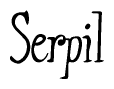 The image is of the word Serpil stylized in a cursive script.