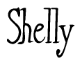 The image is a stylized text or script that reads 'Shelly' in a cursive or calligraphic font.