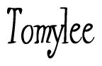 The image contains the word 'Tomylee' written in a cursive, stylized font.