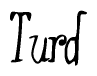 The image is of the word Turd stylized in a cursive script.