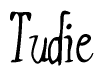 The image contains the word 'Tudie' written in a cursive, stylized font.