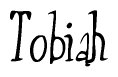 The image is a stylized text or script that reads 'Tobiah' in a cursive or calligraphic font.