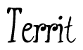 The image is a stylized text or script that reads 'Territ' in a cursive or calligraphic font.