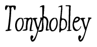 The image is of the word Tonyhobley stylized in a cursive script.