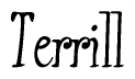 The image is of the word Terrill stylized in a cursive script.
