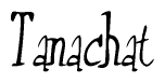 The image is a stylized text or script that reads 'Tanachat' in a cursive or calligraphic font.