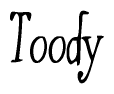The image is of the word Toody stylized in a cursive script.