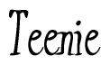The image is of the word Teenie stylized in a cursive script.