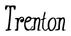 The image is of the word Trenton stylized in a cursive script.