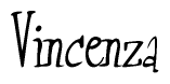The image contains the word 'Vincenza' written in a cursive, stylized font.