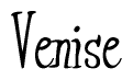 The image is a stylized text or script that reads 'Venise' in a cursive or calligraphic font.