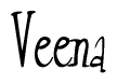 The image contains the word 'Veena' written in a cursive, stylized font.