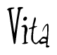The image is a stylized text or script that reads 'Vita' in a cursive or calligraphic font.