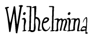 The image contains the word 'Wilhelmina' written in a cursive, stylized font.
