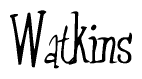 The image is a stylized text or script that reads 'Watkins' in a cursive or calligraphic font.