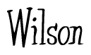 The image is of the word Wilson stylized in a cursive script.