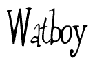   The image is of the word Watboy stylized in a cursive script. 