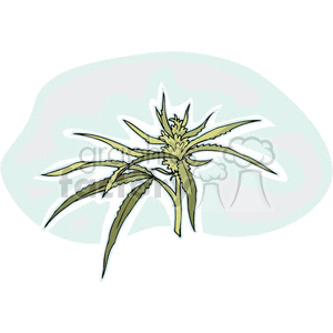 Clipart illustration of a cannabis plant with green leaves and buds.