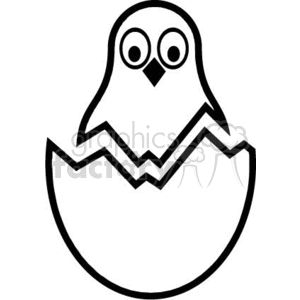 Black and white chick in cracked egg